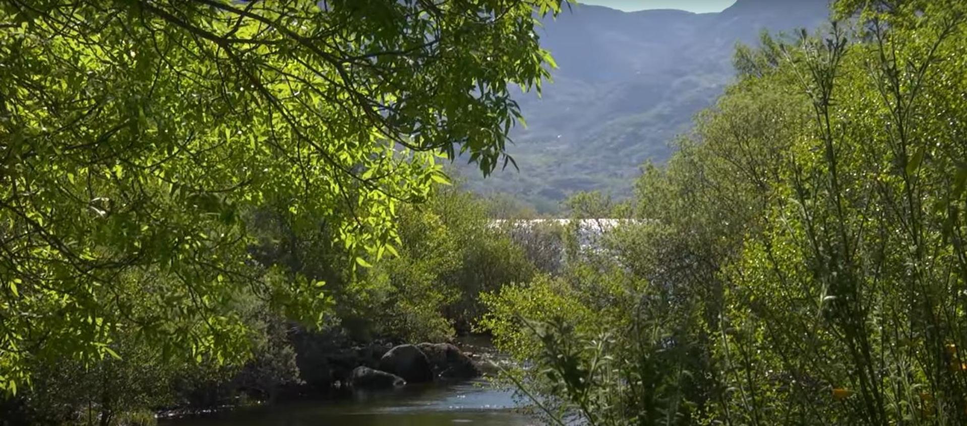 La Posada De Pedrazales Eksteriør bilde
