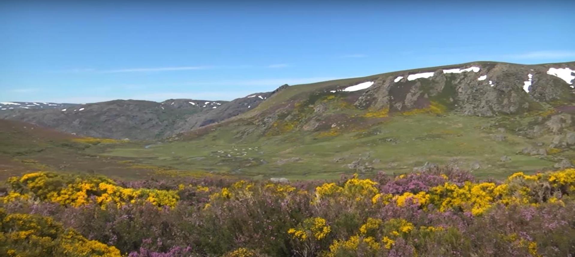 La Posada De Pedrazales Eksteriør bilde